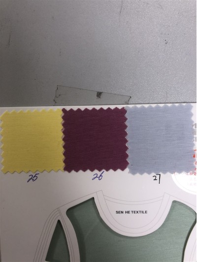 ZS-SH 絲光棉 165-170G 1821# 正面照